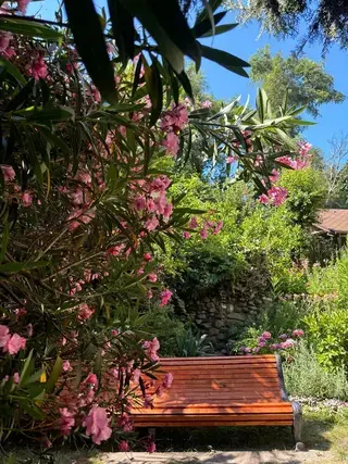 Отель Ламоре